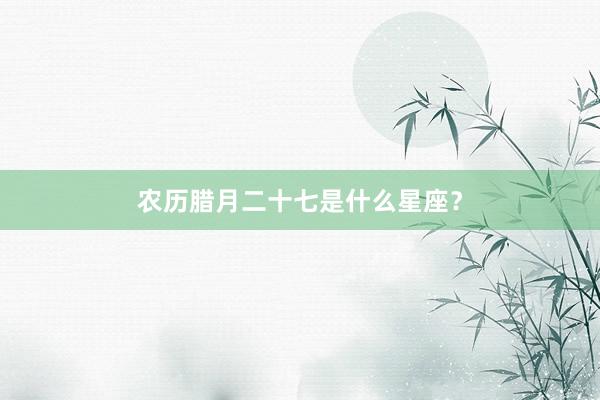 农历腊月二十七是什么星座？